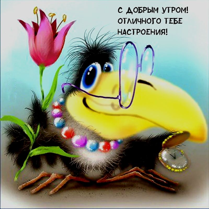 с доврым УТРОМ я отмлчного ТЕБЕ НАСТРОЕНИЯ