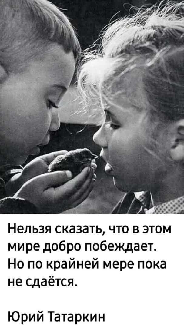 Нельзя сказать что в этом мире добро побеждает Но по крайней мере пока не сдаётся Юрий Татаркин