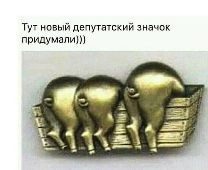 Тут новый депутатский значок пришМапи