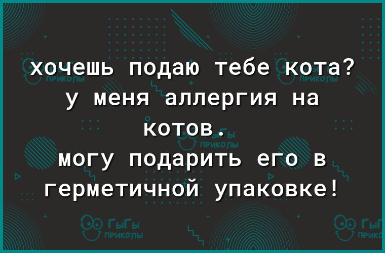 хочешь подаю тебе кота у меня аллергия на котов могу подарить его в герметичной упаковке