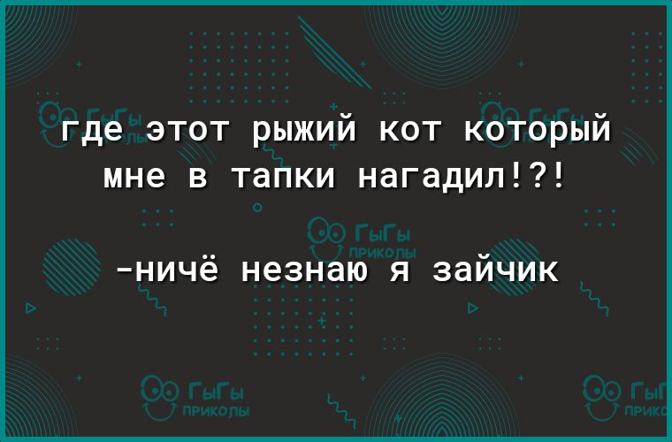 где этот рыжий кот который мне в тапки нагадил _НИЧё незнаю Я зайчик