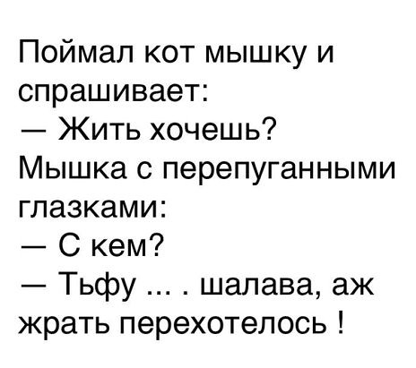 Поймал кот мышку и спрашивает Жить хочешь Мышка с перепуганными глазками С кем Тьфу шалава аж жрать перехотелось