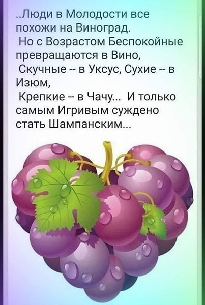 Люди в Молодости все похожи на Виноград Но Возрастом Беспокойные превращаются 3 Вино Скучные в Уксус Сухие в Изюм Крепкие в Чачу И только самым Игривым суждено стать Шампанским