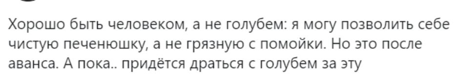 Хорошо быть человеком а не голубем я могу позволить себе чистую печенюшку а не грязную с помойки Но это после аванса А пока придётся драться с голубем за эту