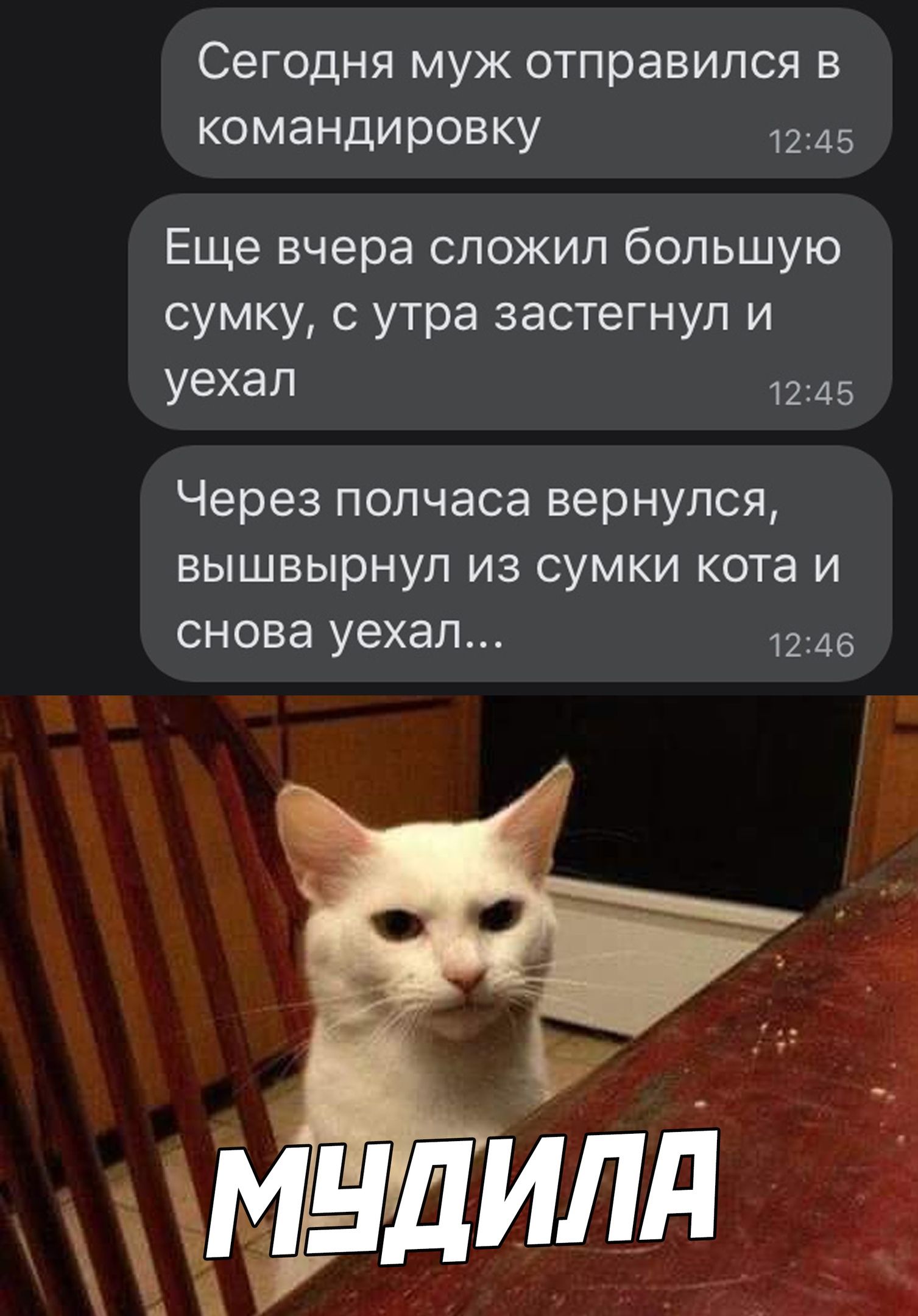 Сегодня муж отправился в командировку 1245 Еще вчера СЛОЖИЛ бОЛЬШУЮ СУМКУ С утра застегнул И уехал 1245 Через полчаса вернулся вышвырнул из сумки кота и снова уехал 1246