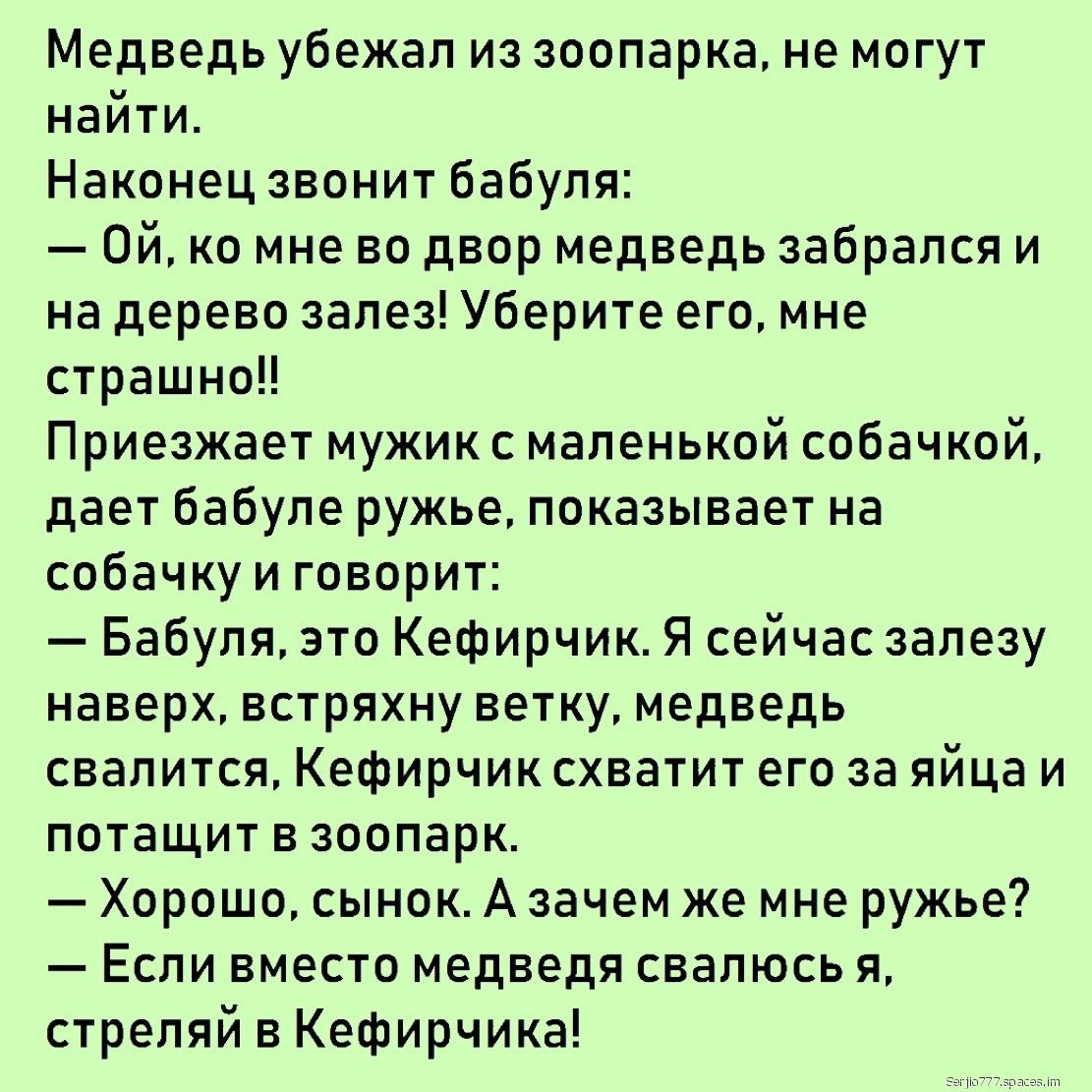 Медведь убежал из зоопарка не могут найти Наконец звонит бабуля Ой ко мне во двор медведь забрался и на дерево залез Уберите его мне страшно Приезжает мужик с маленькой собачкой дает бабуле ружье показывает на собачку и говорит Бабуля это Кефирчик Я сейчас залезу наверх встряхну ветку медведь свалится Кефирчик схватит его за яйца и потащит в зоопарк Хорошо сынок А зачем же мне ружье Если вместо ме