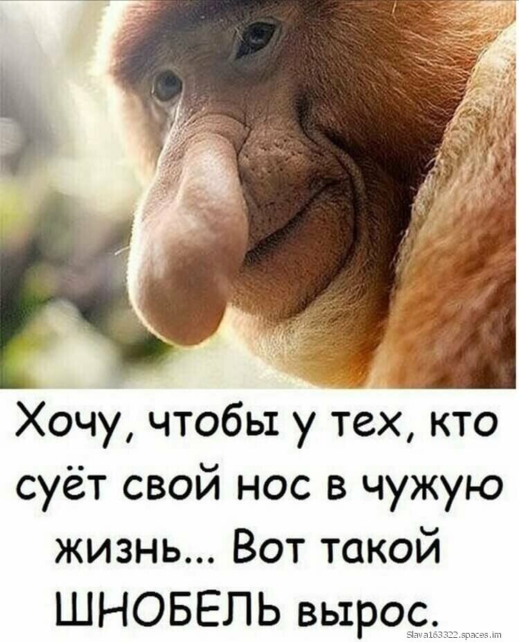 Хочу чтобы у тех кто суёт свой нос в чужую жизнь Вот такой ШНОБЕПЬ вьтро5
