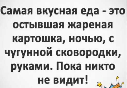 Самая вкусная еда это остывшая жареная картошка ночью с чугунной сковородки руками Пока никто о не видит и