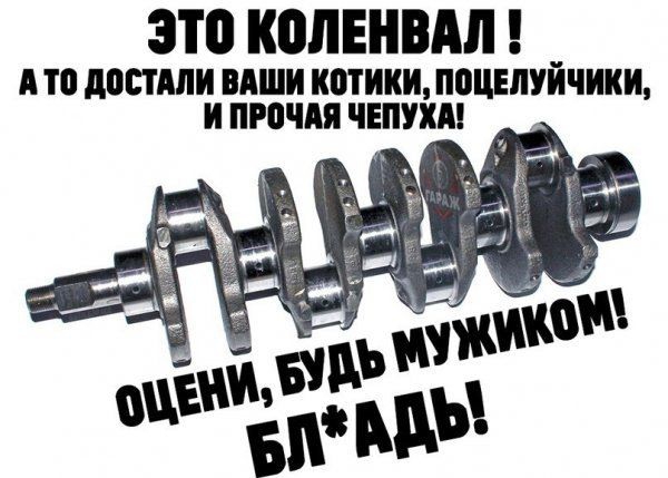 ЗЮ КОЛЕНШШ А то дОСПШИ ВАШИ котики ПОЦЕЛУЙЧИКИ И прочли ЧЕПУХМ