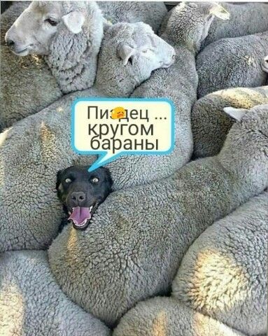 Кы