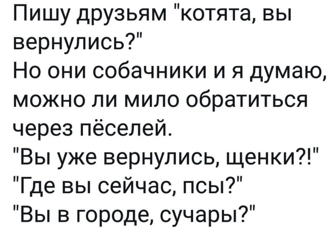 Пишу друзьям котята вы вернулись Но они собачники и я думаю можно ли мило обратиться через пёселей Вы уже вернулись щенки Где вы сейчас псы Вы в городе сучары