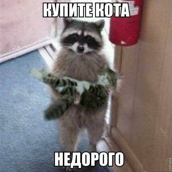 НЕДПРВЮ