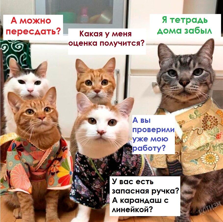 г 1 Какая у меня дома забы оценка поучится Ъ _ 4 _ Я тетрадь д А вы _ провериди Х уже мою работу У вас есть запасная ручка А каранАаш с Аинейкой ай