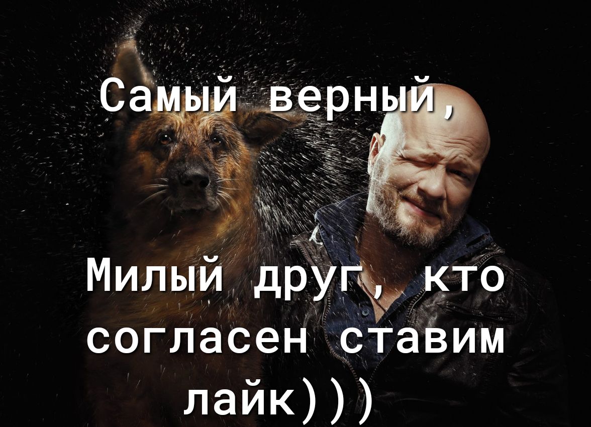 Милыи др кто согласенцставим лайк