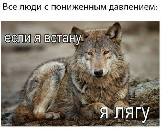 Все ЛЮДИ С ПОНИЖЭННЫМ давлением