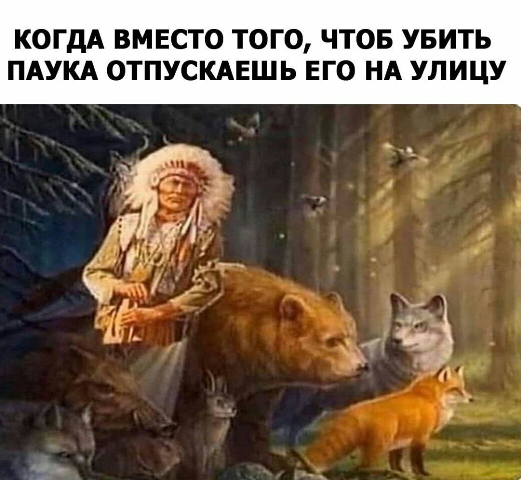 КОГДА ВМЕСТО ТОГО ЧТОБ УБИТЬ ПАУКА ОТПУСКАЕШЬ ЕГО НА УЛИЦУ