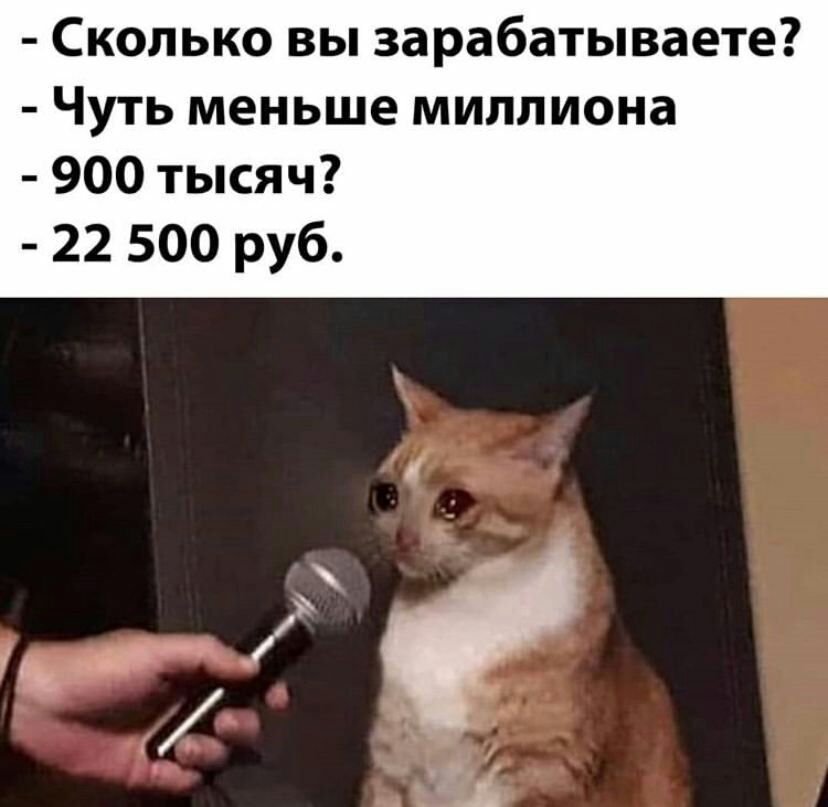 Сколько вы зарабатываете Чуть меньше миллиона 900 тысяч 22 500 руб