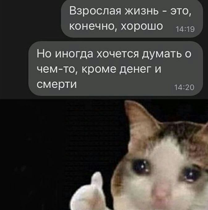 Взрослая жизнь это конечно хорошо 1419 НО иногда ХОЧЭТСЯ думать О чемто кроме денег и смерти 1420