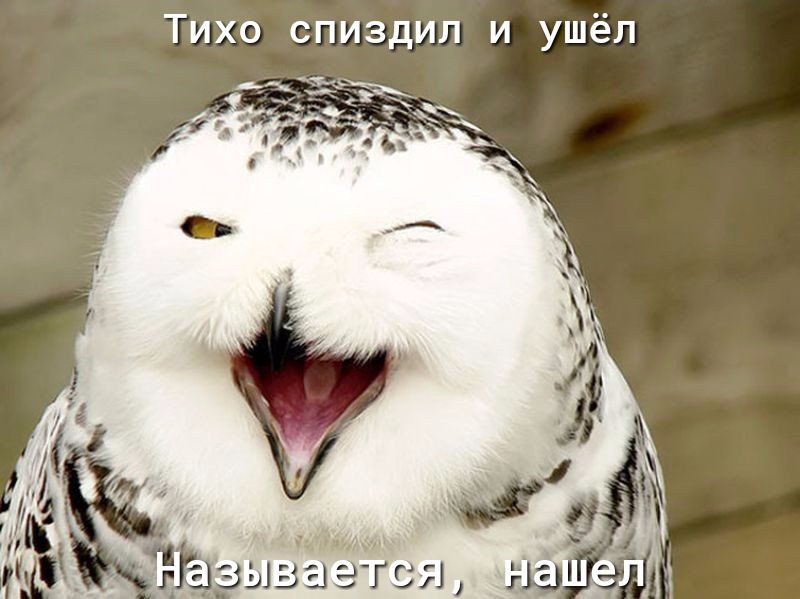 Тихо спиздил и ушёл