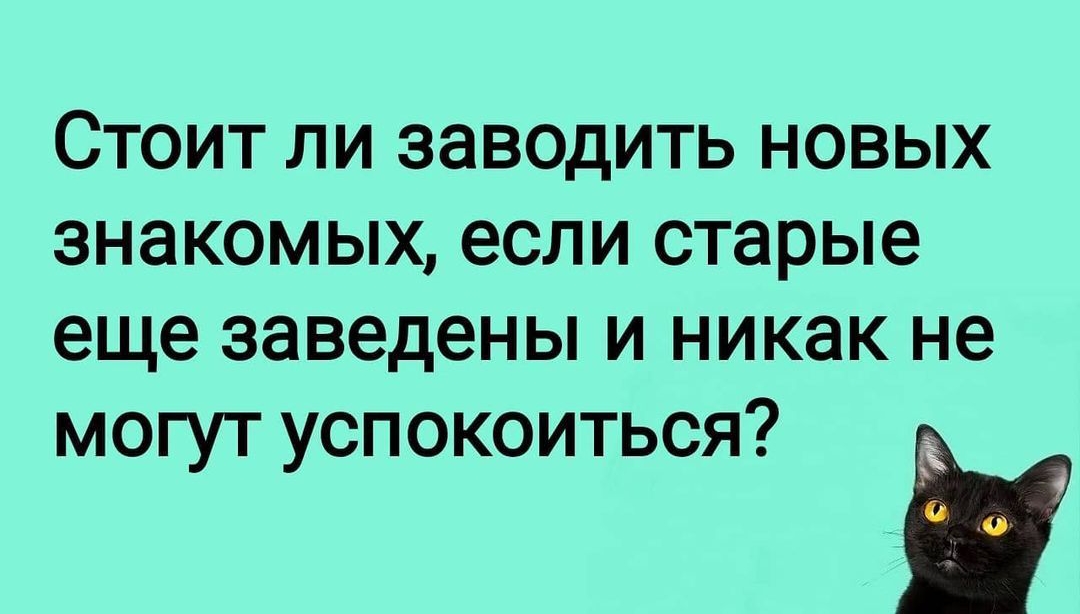 СТОИТ ЛИ ЗЭВОДИТЬ НОВЫХ ЗНЭКОМЫХ если старые еще заведены И никак не могут успокоиться і