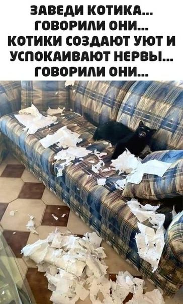ЗАВЕДИ КОТИКА ГОВОРИАИ ОНИ КОТИКИ СОЗМЮТ уют И УСПОКПИВАЮТ НЕРВЫ ГРВОРИАИ ОНИ