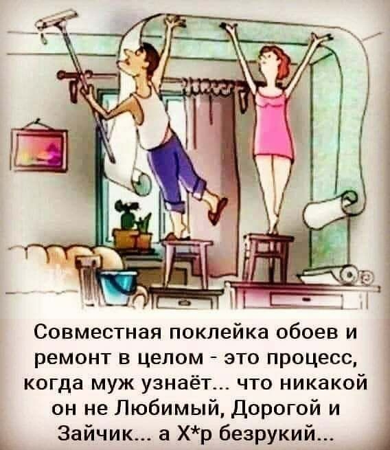 Совместная поклейка обоев и ремонт в целом это процесс когда муж узнаёт что никакой он не Любимый Дорогой и Зайчик а Хр безрукий 1
