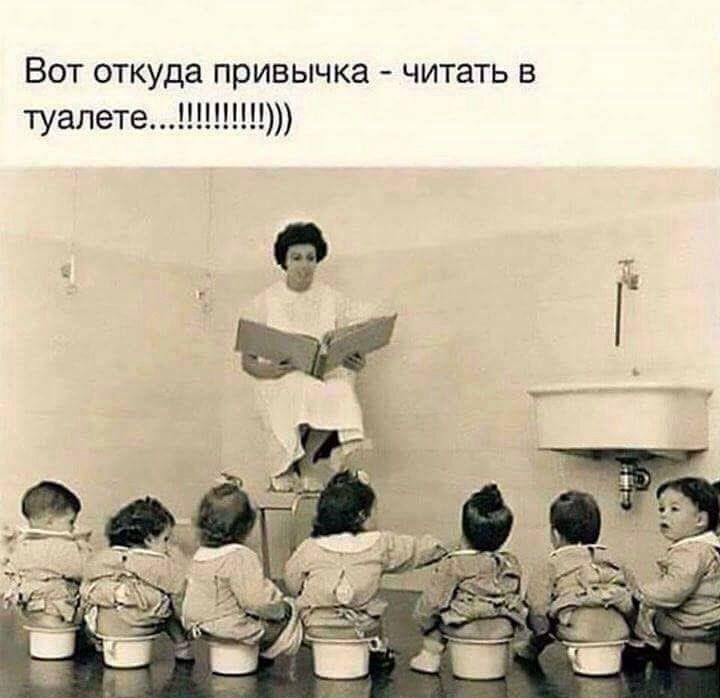 Вот откуда привычка читать в туалете