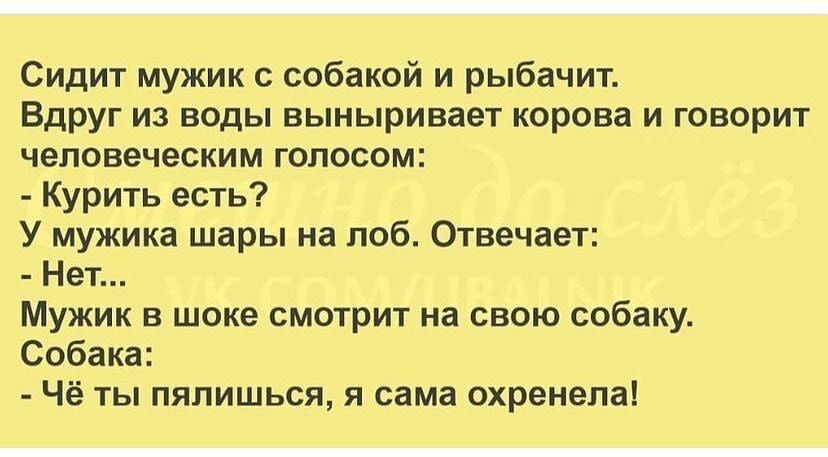 Сидит мужик с собакой и рыбачит Вдруг из воды выныривает корова и говорит человеческим голосом Курить есть У мужика шары на лоб Отвечает Нет Мужик в шоке смотрит на свою собаку Собака Чё ты пяпишься я сама охренепа