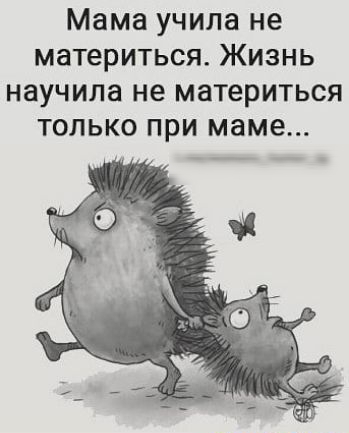 Мама учила не материться Жизнь научила не материться только при маме