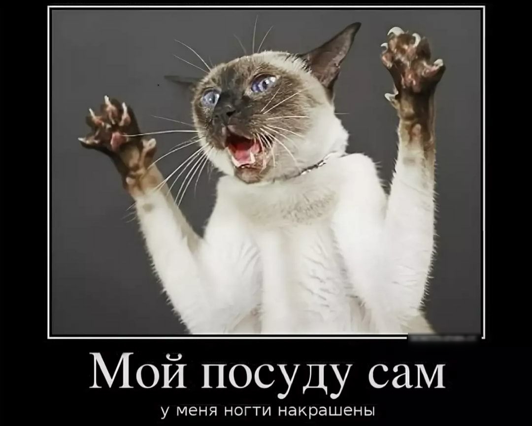 Мой посуду саМ у меня НОГТИ накрашены