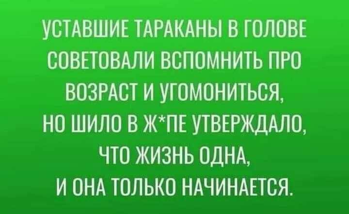 УОТАВШИЕ ТАРАКАНЫ В ГОЛОВЕ СОВЕТОВАЛИ ВОПОМНИТЬ ПРО ВОЗРАСТ И УТОМОНИТЬСЯ НО ШИЛО В ЖПЕ УТВЕРЖДАЛО ЧТО ЖИЗНЬ ОДНА И ОНА ТОЛЬКО НАЧИНАЕТСЯ