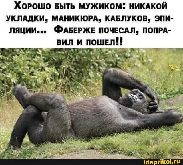 ХОРОШО БЫТЬ ШЖИКОМ НИКАКОЙ УКЛАДКИ МАНИКЮРА КАБШКОБ ЭПИ ПЯЦИИ ФАБЕРЖЕ ПОЧЕСШ ПОПРА вил и пошел