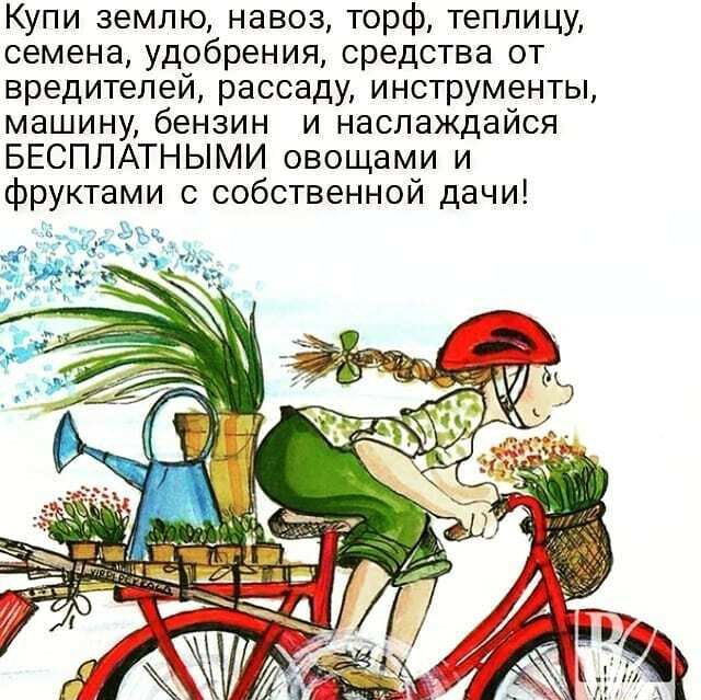 Купи землю навоз торф теплицу семена удобрения средства от вредителей рассаду инструменты машину бензин и наслаждайся БЕСПЛАТНЫМИ овощами и фруктами с собственной дачи
