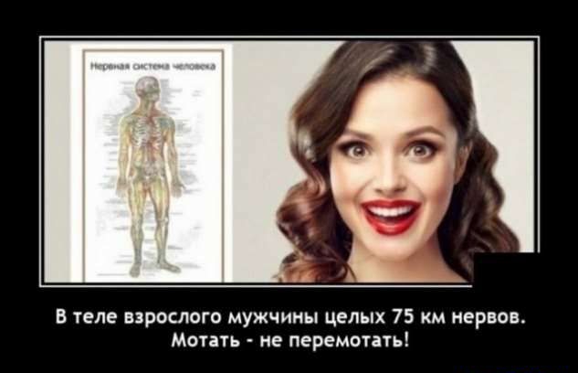 В теле взрослого мужчины целых 75 км нервов Мотать не перемотать