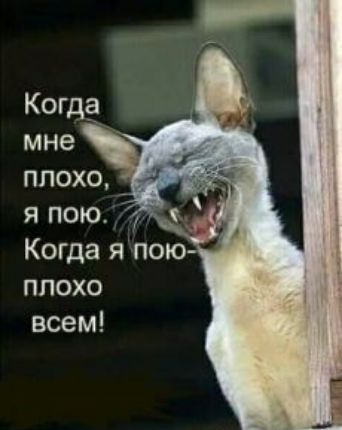 плохо я пою Когда я пою плохо всем
