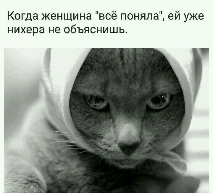 Когда женщина всё поняла ей уже нихера не объяснишь