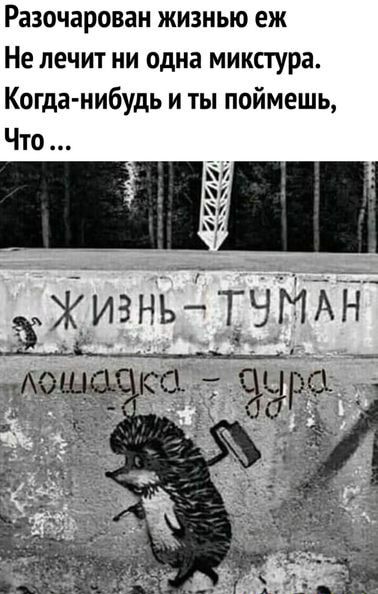 Разочарован жизнью еж Не лечит ни одна микстура Когда нибудь и ты поймешь Что у и ЖИЗнЪЁЭН дд