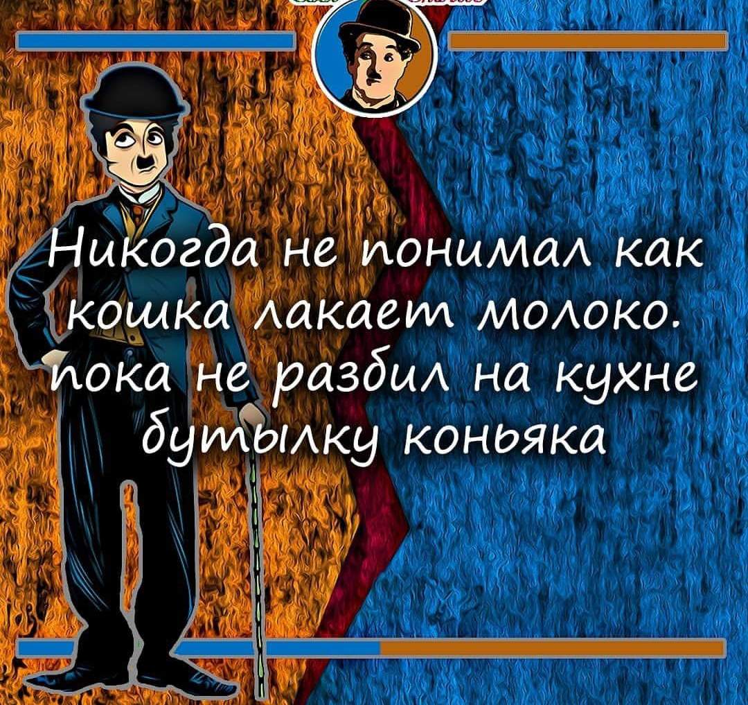 9433д Неихонымм как шеви МОАОКО М а Зёбм на кухне