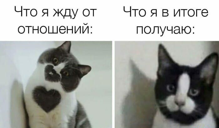 Что я Жду от Что я в итоге отношений получаю