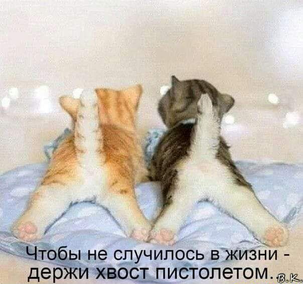 _ щую случилось джизни дер чиъош1_итёгопетом