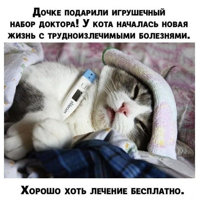 дОЧКЕ ПОДАРИЛИ ИГРУШЕЧНЫЙ НАБОР дОКТОРА У КОТА НАЧАЛАСЬ НОВАЯ ЖИЗНЬ с ТРУДНОИЗЛЕЧИМЫМИ БОЛЕЗНЯМИ кц гг ХОРОШО ХОТЬ ЛЕЧЕНИЕ БЕСПЛАТНО