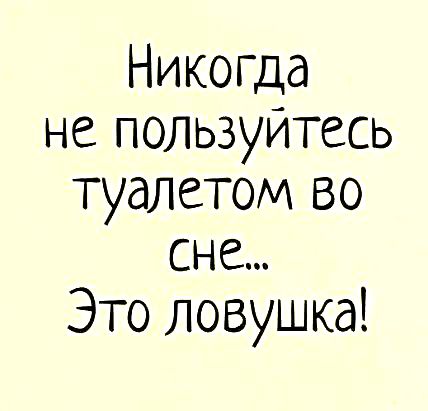 Никопца не пользуйтесь туалетом во сне Это ловушка