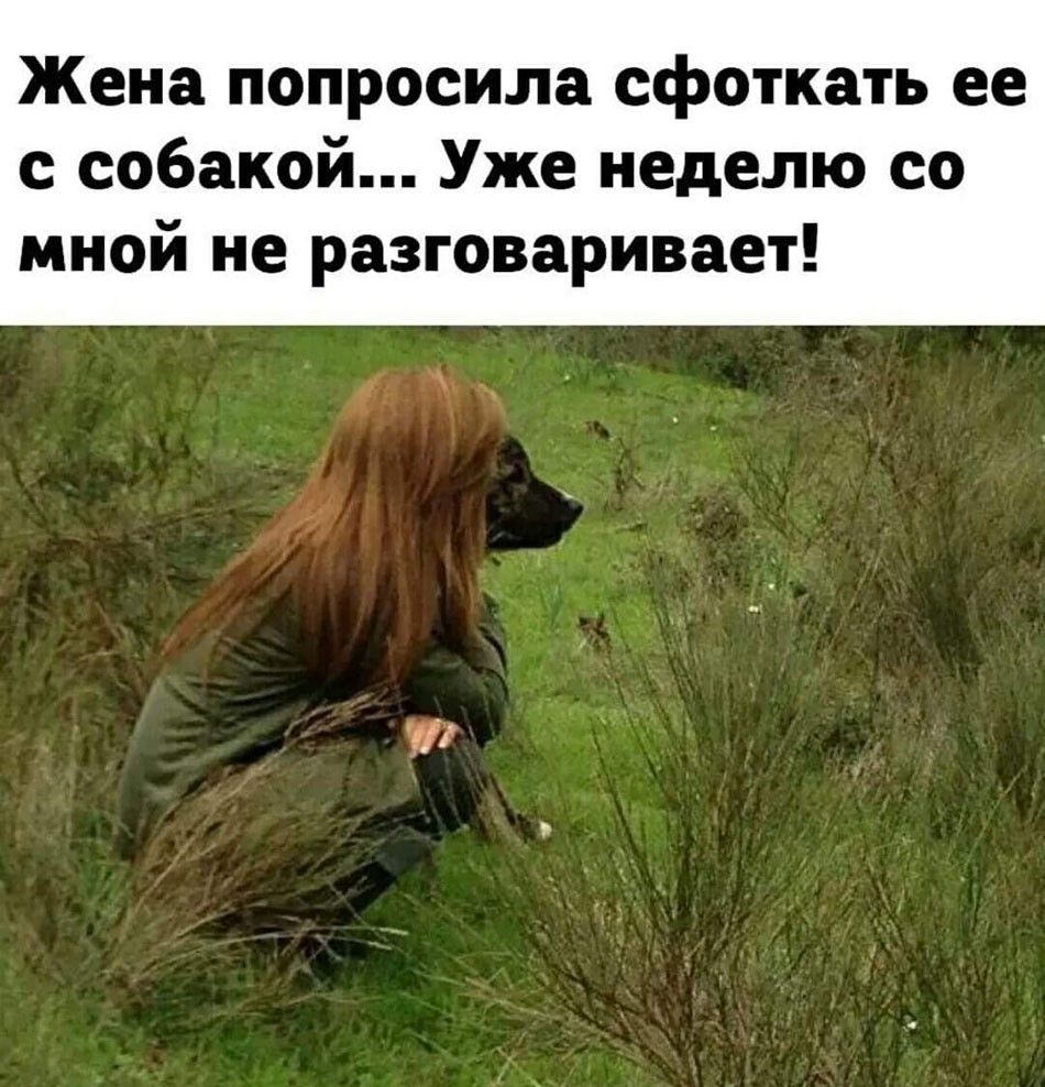 Жена попросила сфоткать ее с собакой Уже неделю со мной не разговаривает