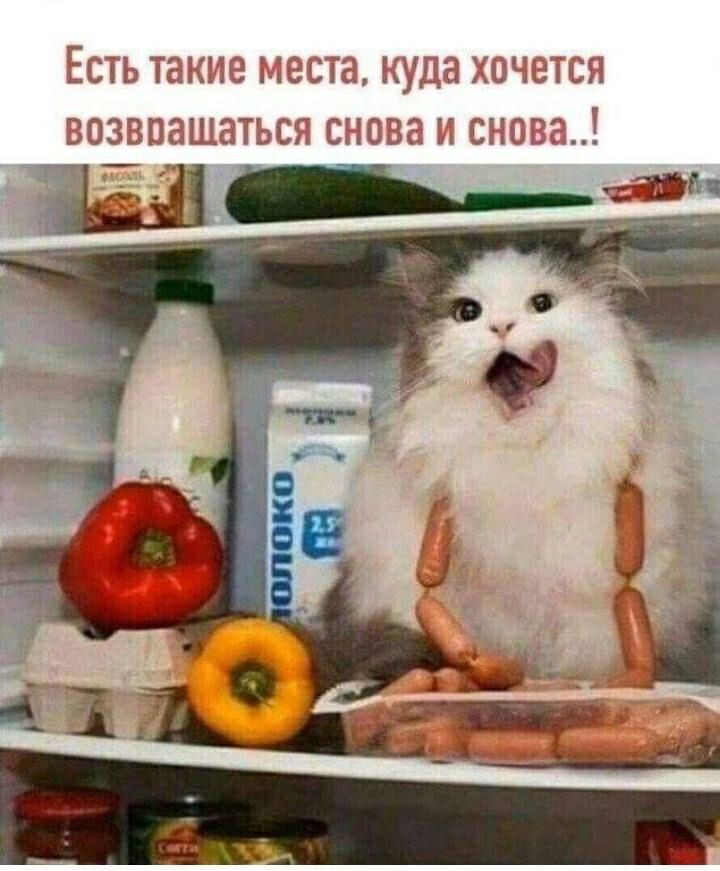 ин ято гиг чт Цфь Сьцпі