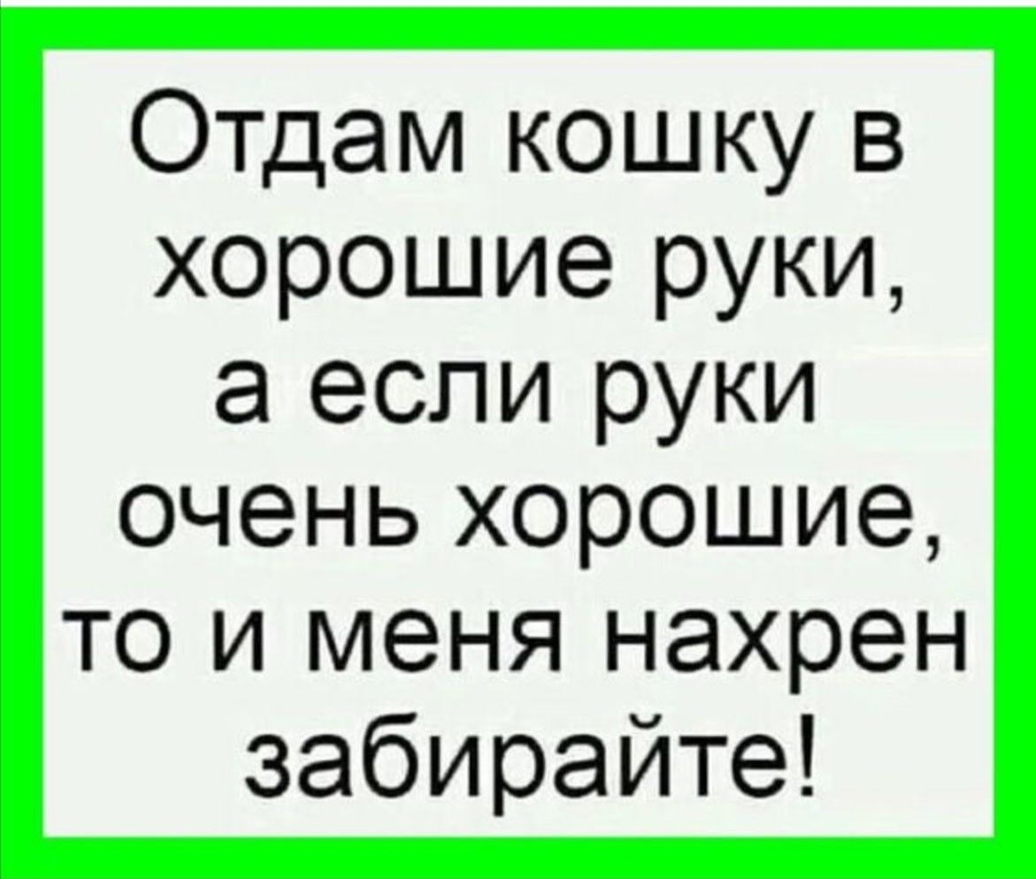 Отдам кошку в хорошие руки а если руки очень хорошие то и меня нахрен забирайте