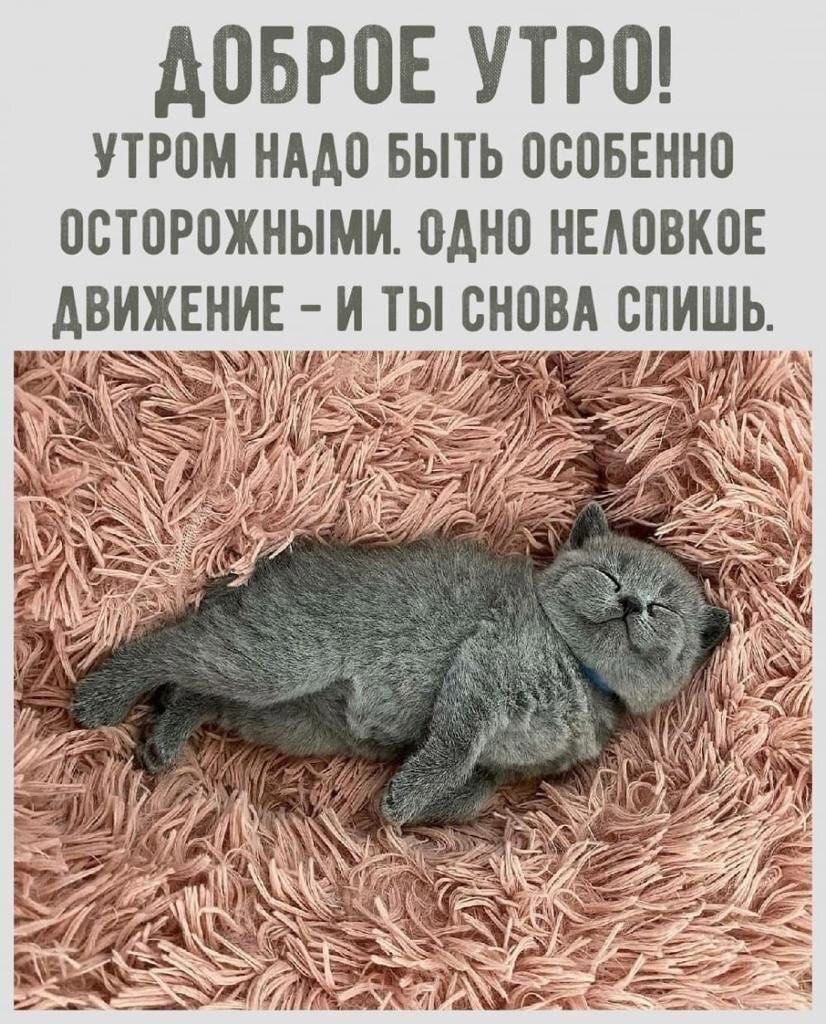 АОБРОЕ УТРО утром нддо БЫТЬ осоввнно осторожными одно ныовков движннин и ты сноВА спишь і