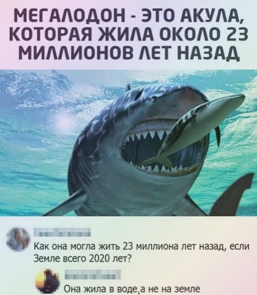 МЕГААОДОН ЭТО АКУАА КОТОРАЯ ЖИАА ОКОАО 23 МИААИОНОВ АЕТ НАЗАД Как она могла жить 23 миллиона лет назад если Земле всего 2020 лет Она жила В водеа НЕ на ЗЕМЛЕ