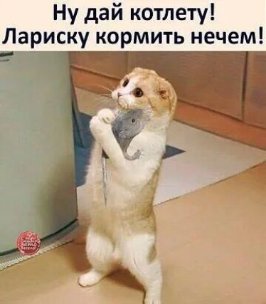 Ну дай котлету Лариску кормить нечем