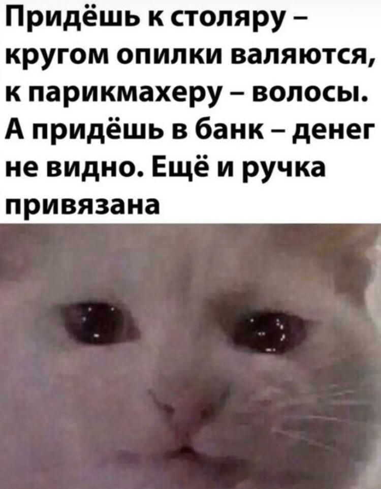 Придёшь к столяру кругом опилки валяются к парикмахеру волосы А придёшь в банк денег не видно Ещё и ручка привязана