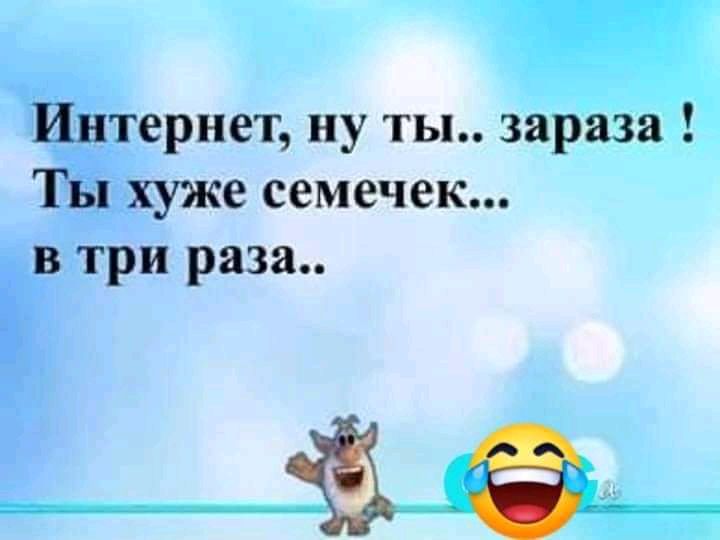 Интернет ну ты зараза Ты хуже семечек в три раза